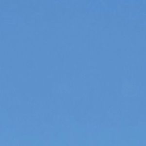 Meet your Posher, Carly